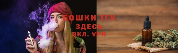 бошки Алексин
