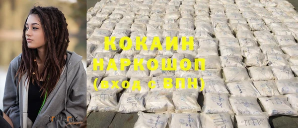 бошки Алексин