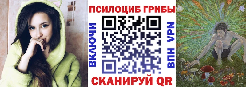 закладки  Долинск  Псилоцибиновые грибы GOLDEN TEACHER 