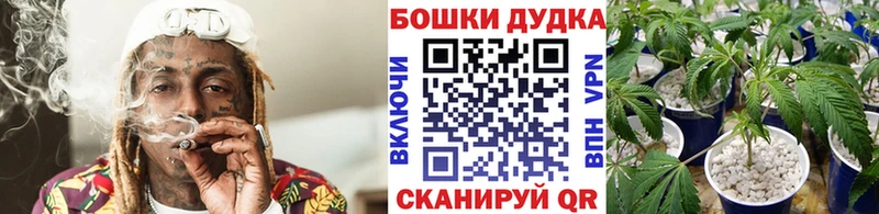 Марихуана OG Kush Долинск